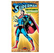 Superman 1:8 Scale Snap-Fit Model Kit